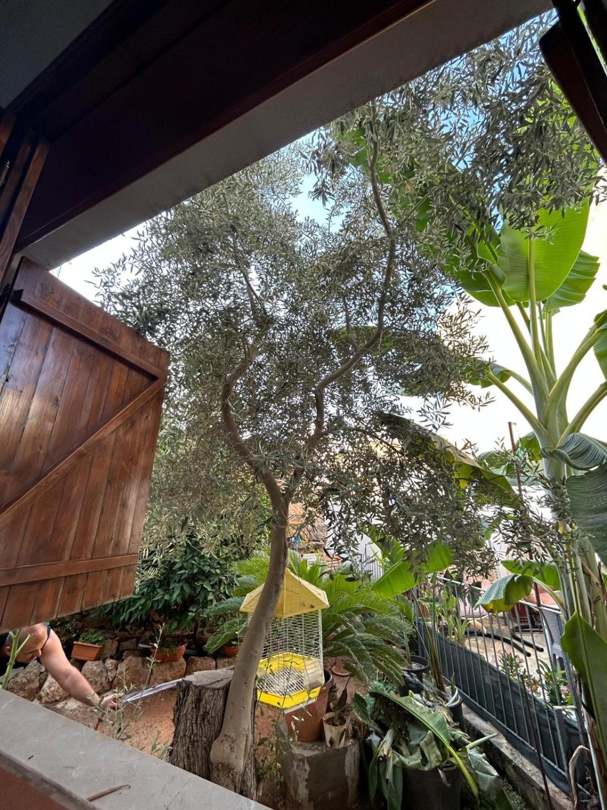 Arsione Guest House Famagouste Extérieur photo